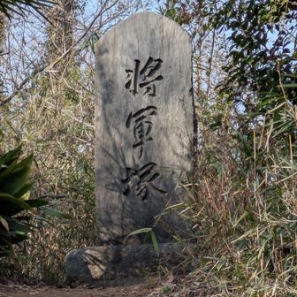 ここが八国山山頂らしいですね