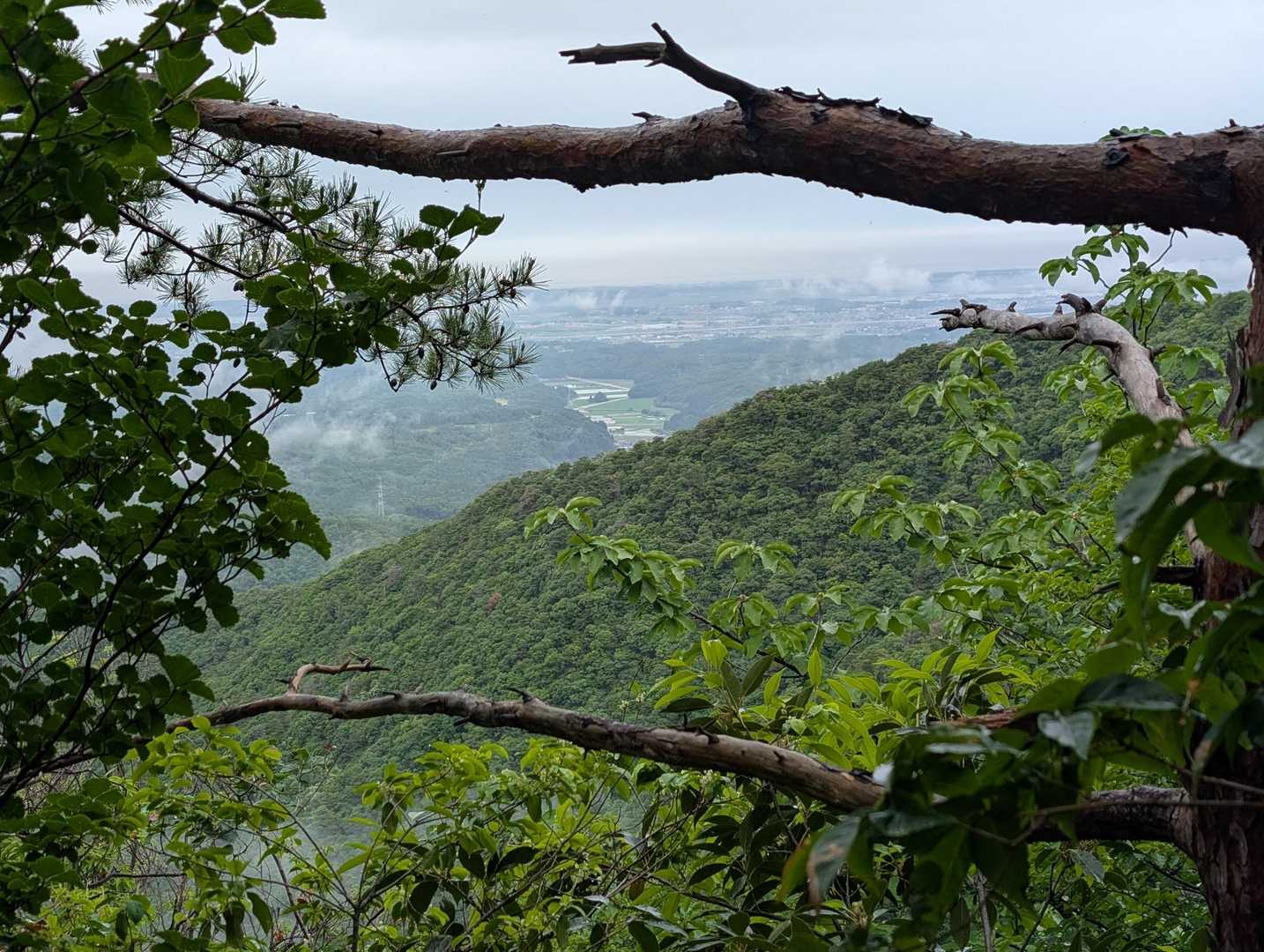 三童子山足谷登山口-三童子山-鞍掛山-西ノ谷登山口 縦走コースの写真