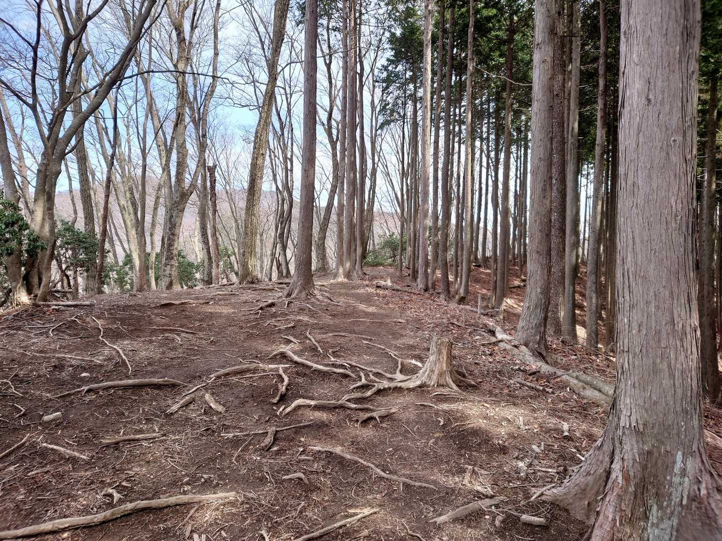 さぁ、まだまだここから👣