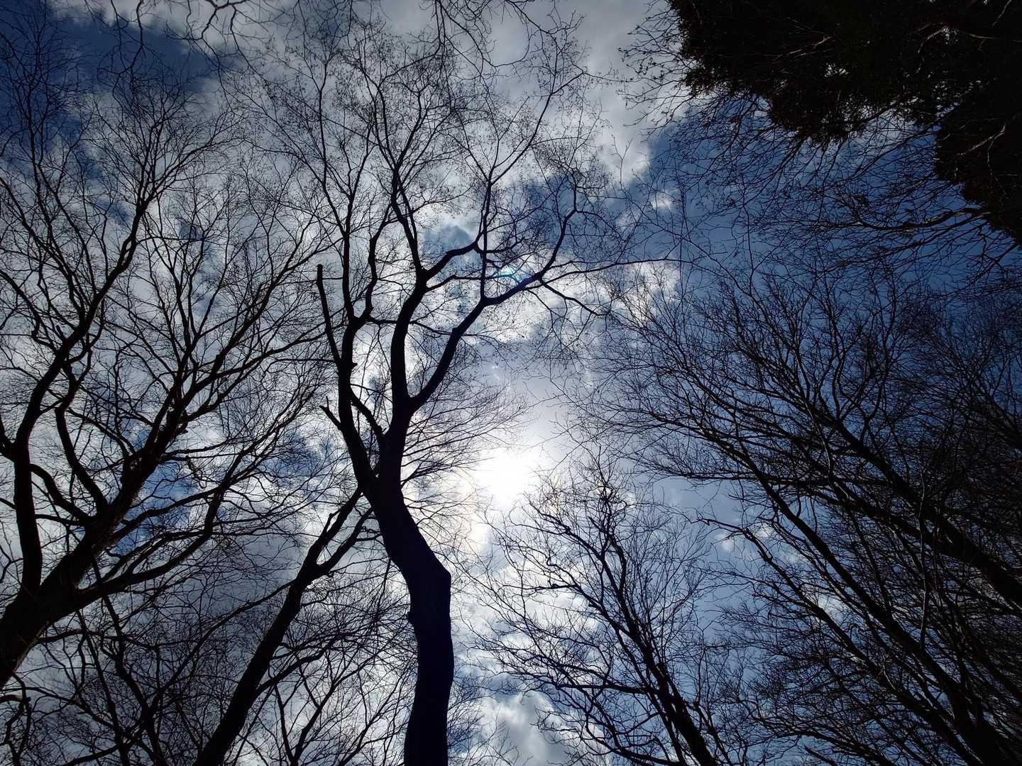これが限界

雲が多すぎですよ～