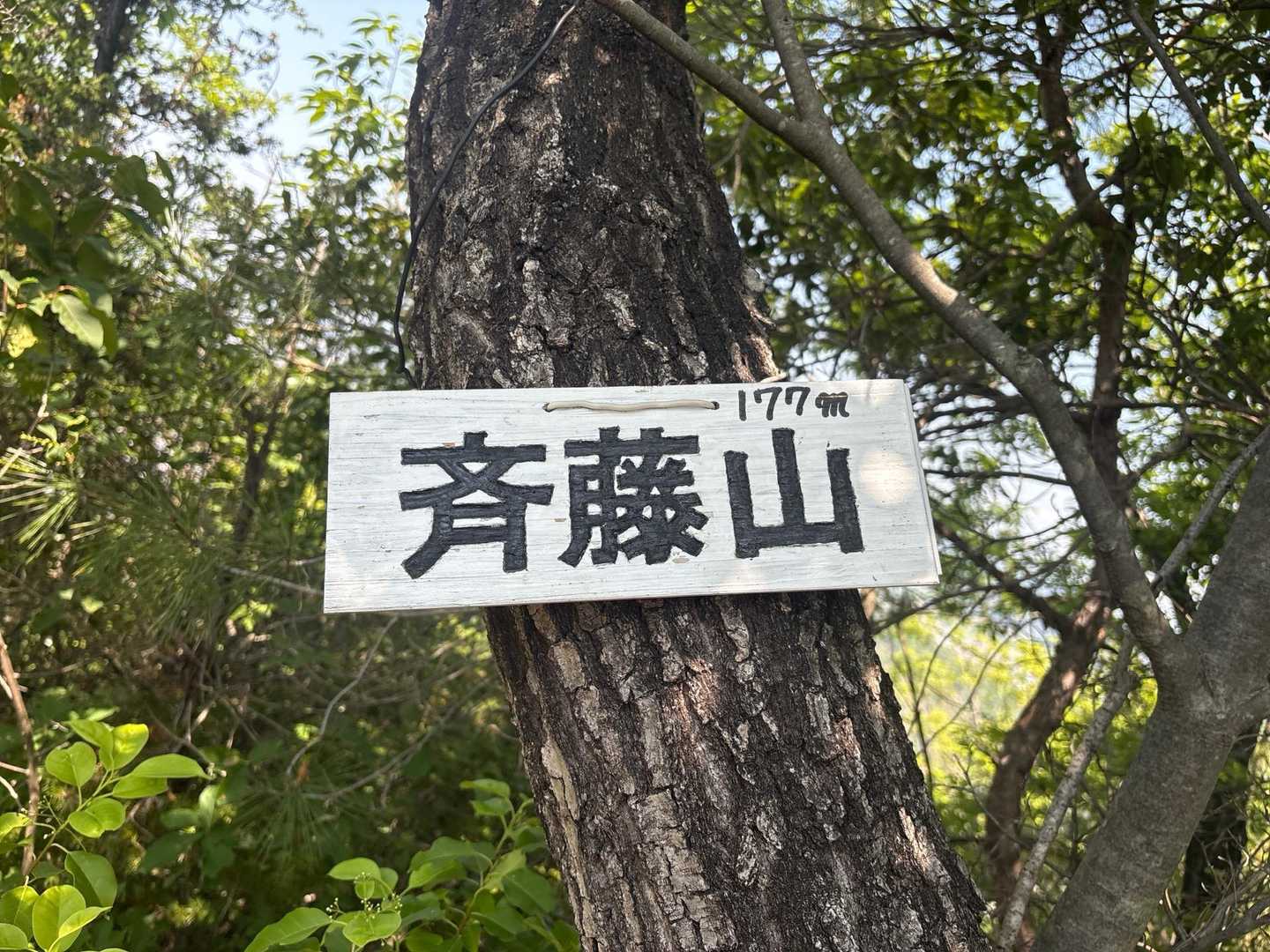 ②座目 斉藤山⛰️
　眺望無し
