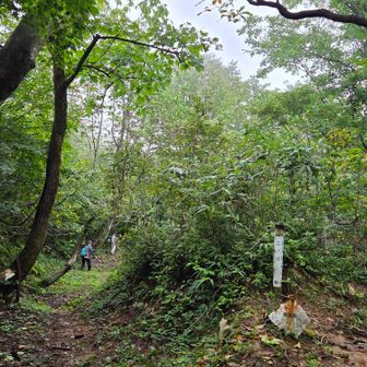 三ノ峠分岐