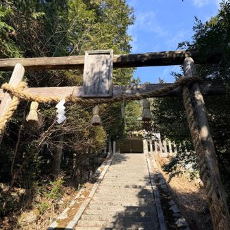 木でできた鳥居✨趣きあるなぁ🤩
階段は降りただけ💦