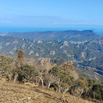 素晴らしい👏✨
次に行く中山仙境はどれだ？