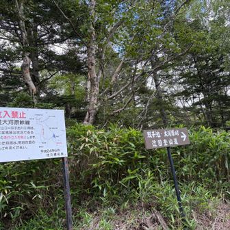 ⚠️双子池に行く林道は落石のため立ち入り禁止
迂回路を通ってしか行けません