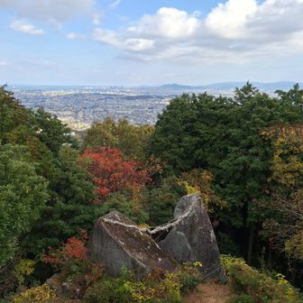 「夫婦石展望台」からの眺め✨
下にあるのが夫婦石。