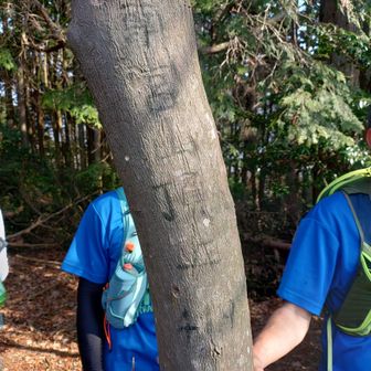 南宮山はグレーピーク🩶