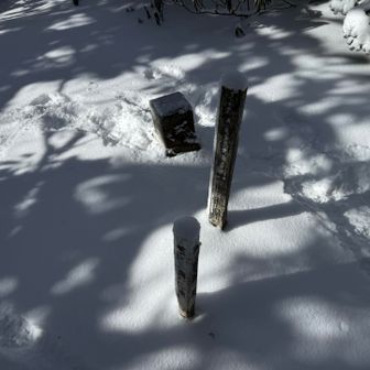 この三角点が貴重だって！
木の標柱も珍しいみたい