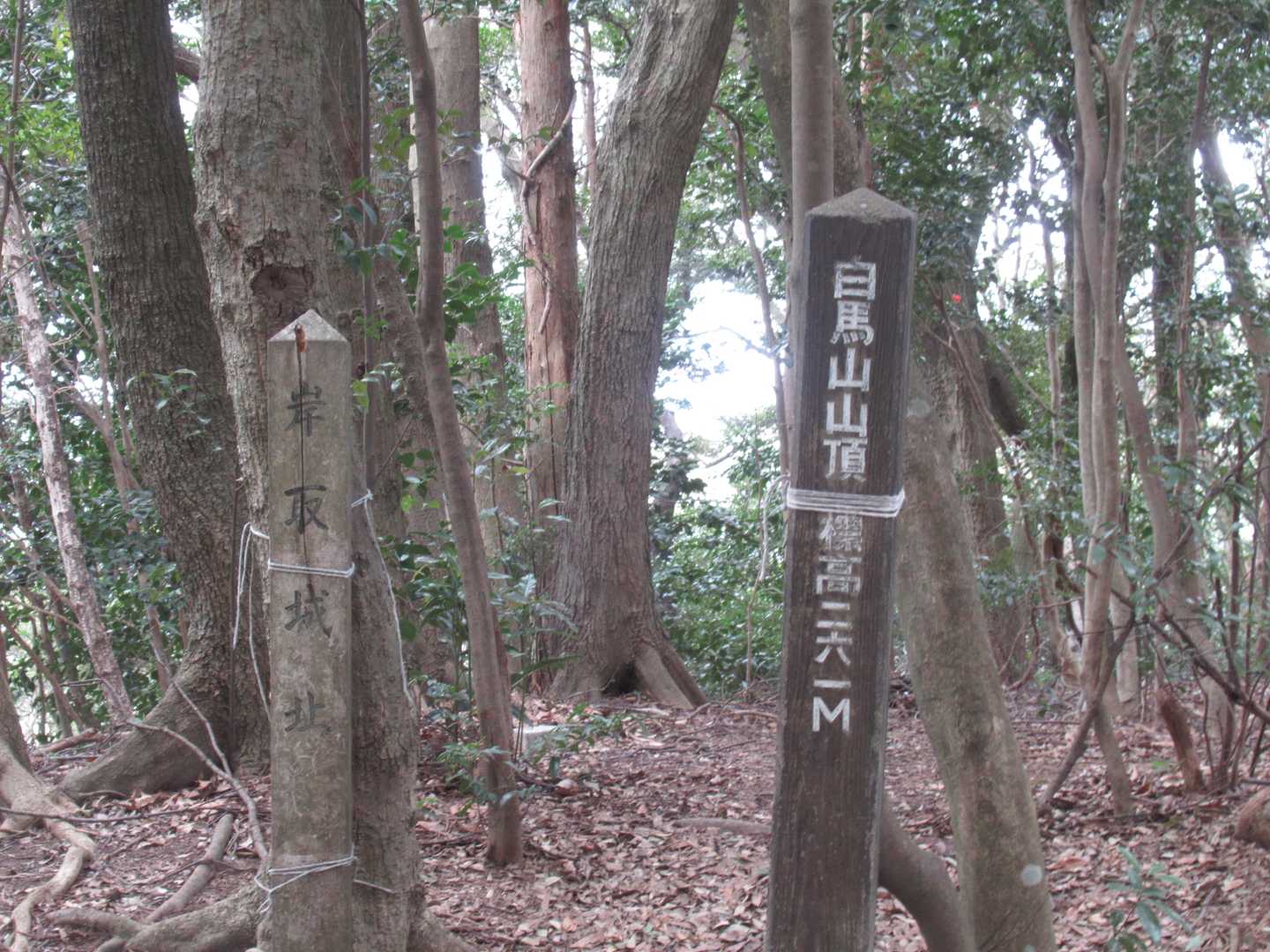 白馬山山頂・・・眺望なしです
