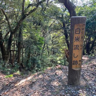 白米流しも秀吉さんの作戦