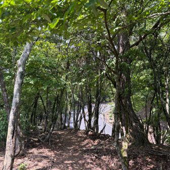 ひたすら登りまくって…
やっと道路が見えてきた！