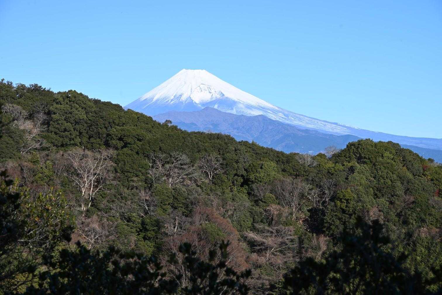 日守山公園入口-大嵐山-大平山-多比口峠-多比峠-鷲頭山- 縦走コースの写真