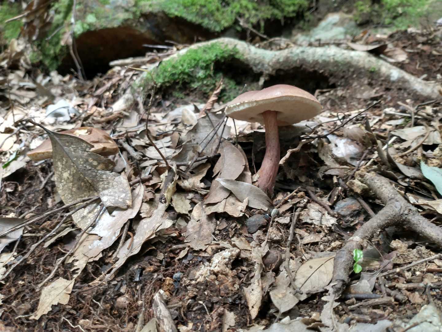 ？