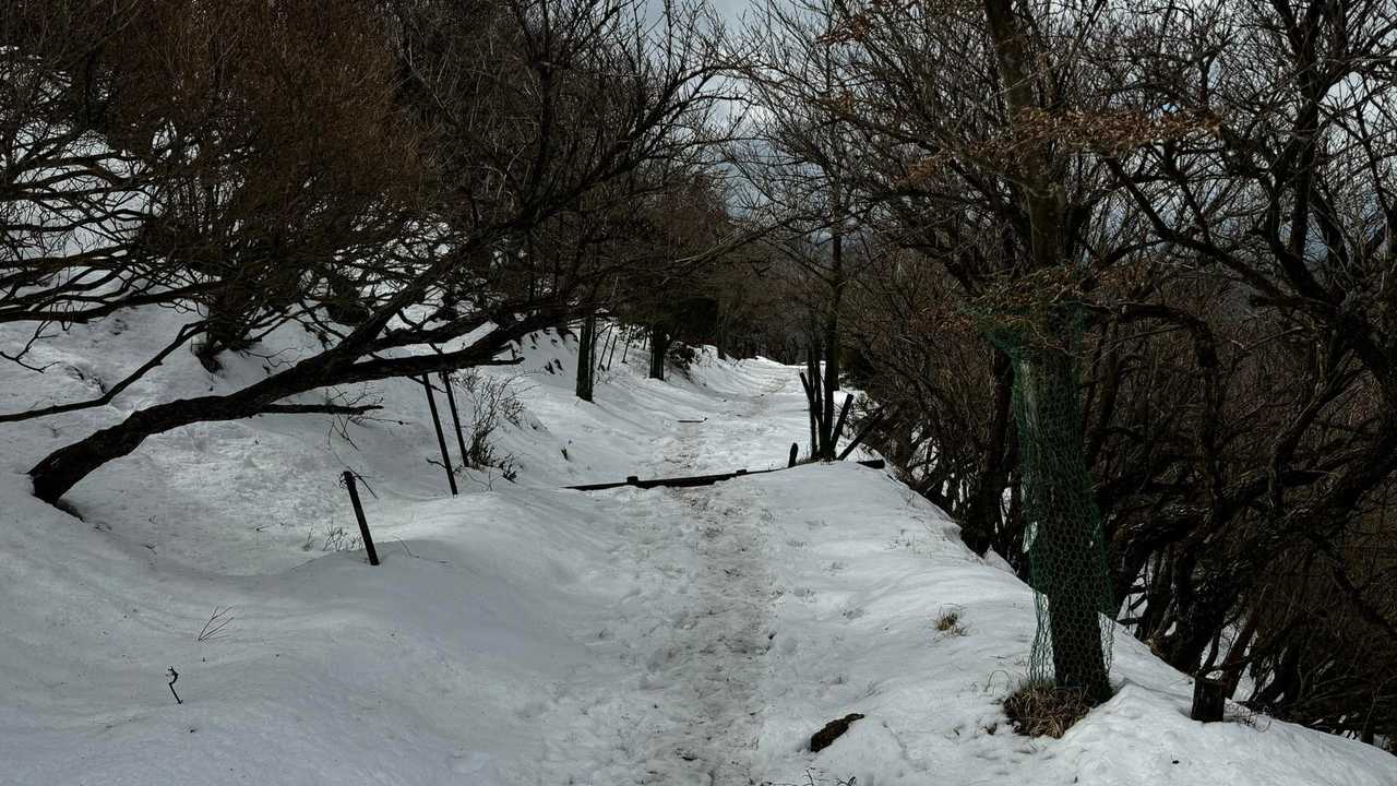 大山（ヤビツ峠〜大山〜鶴巻温泉）縦走 の写真 19