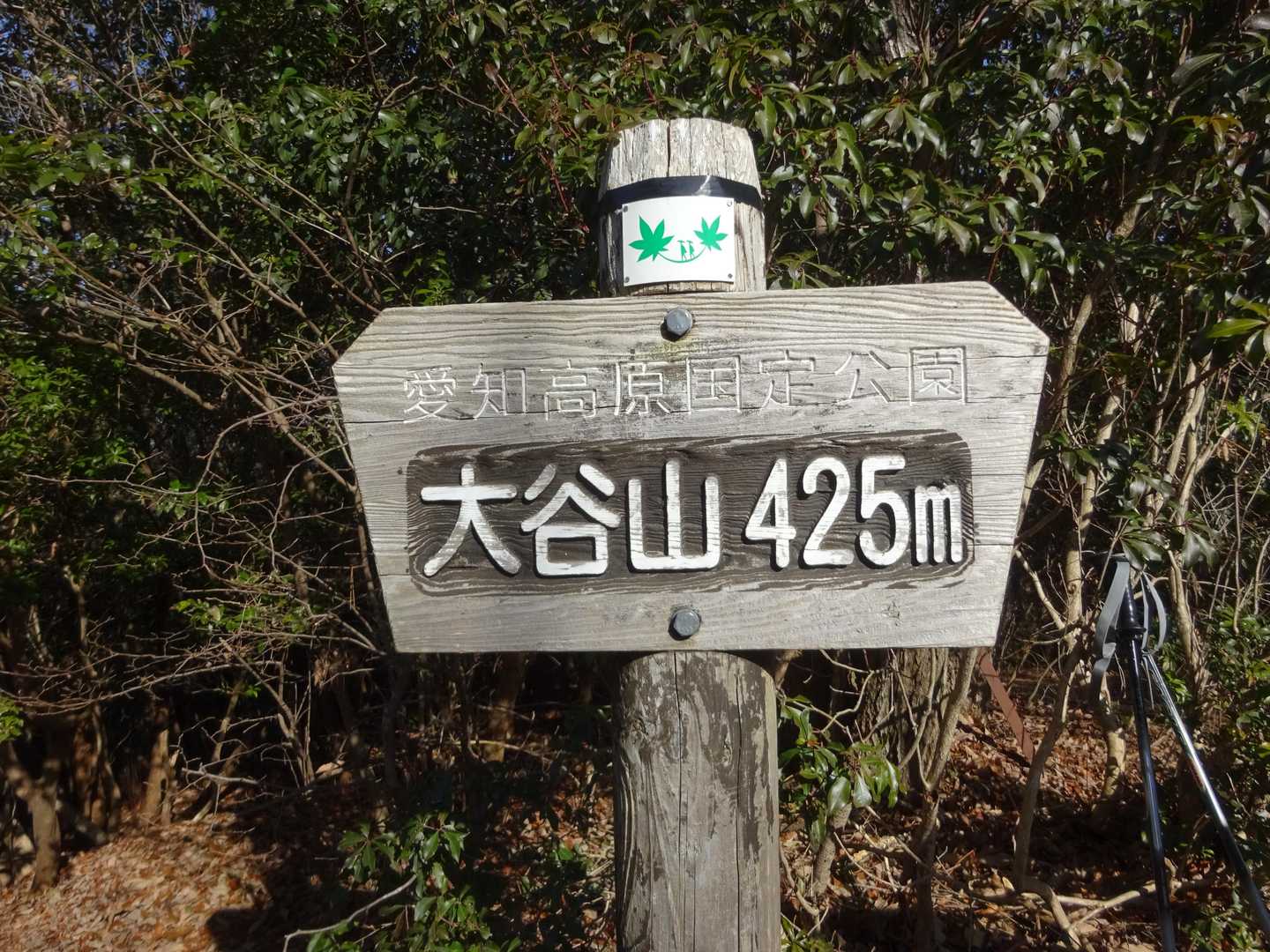 1時間で大谷山に到着しました