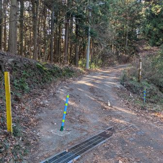 道標に従って雨乞山へ