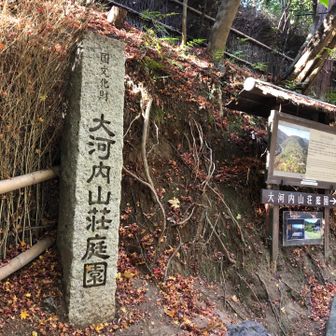 大河内山荘は、昔、大河内傳次郎さんという俳優が私財を投じて作ったお庭です。入場料が1000円かかります。去年の3月までお抹茶とお菓子がついてたらしいですがなくなったようです。