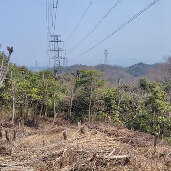 清滝山の鉄塔の下からの眺め。