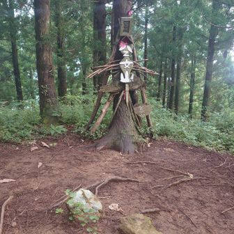 静かな八乙女でした