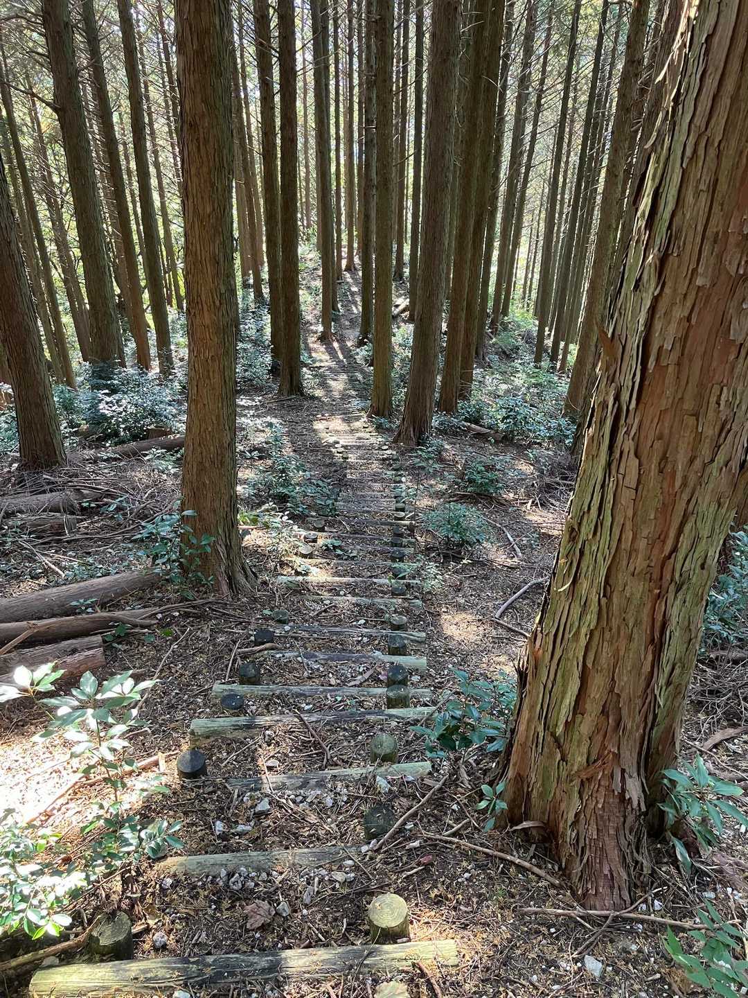 転けない様に、下ります。
