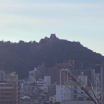山頂から松山城