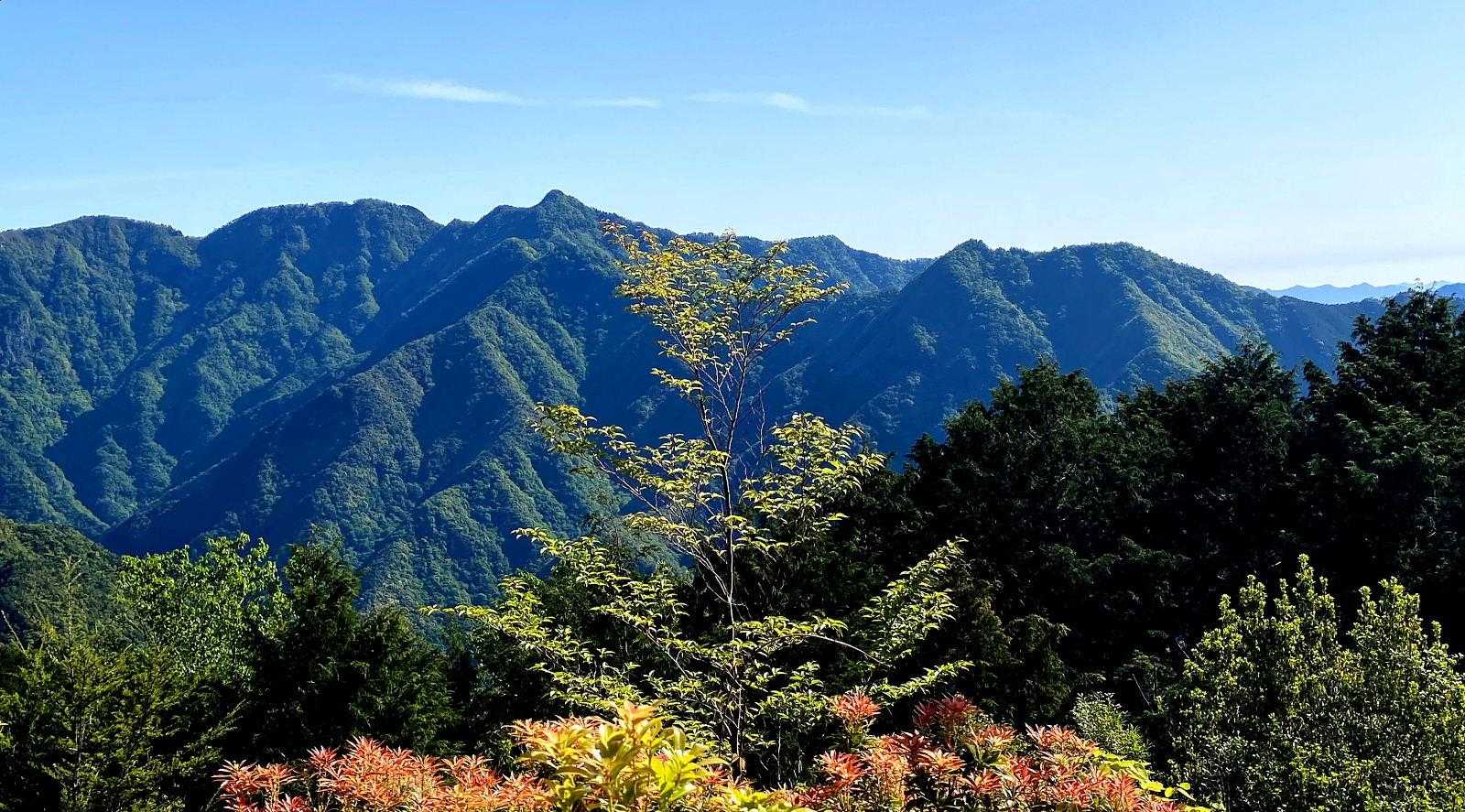 真ん中に見えるのが古ヶ丸山のようです。
