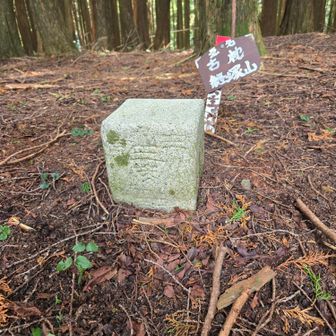 経塚山・三等三角点‼️