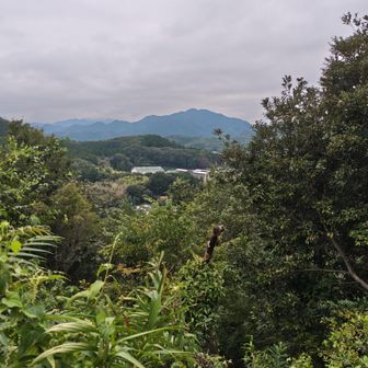 二股山❔️