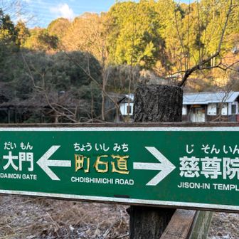 いざ、神社の右を抜けてスタート▶️
距離があえて表示されていないのは町石があるからですね🪨👍

向こうにお手洗いあります🚻
