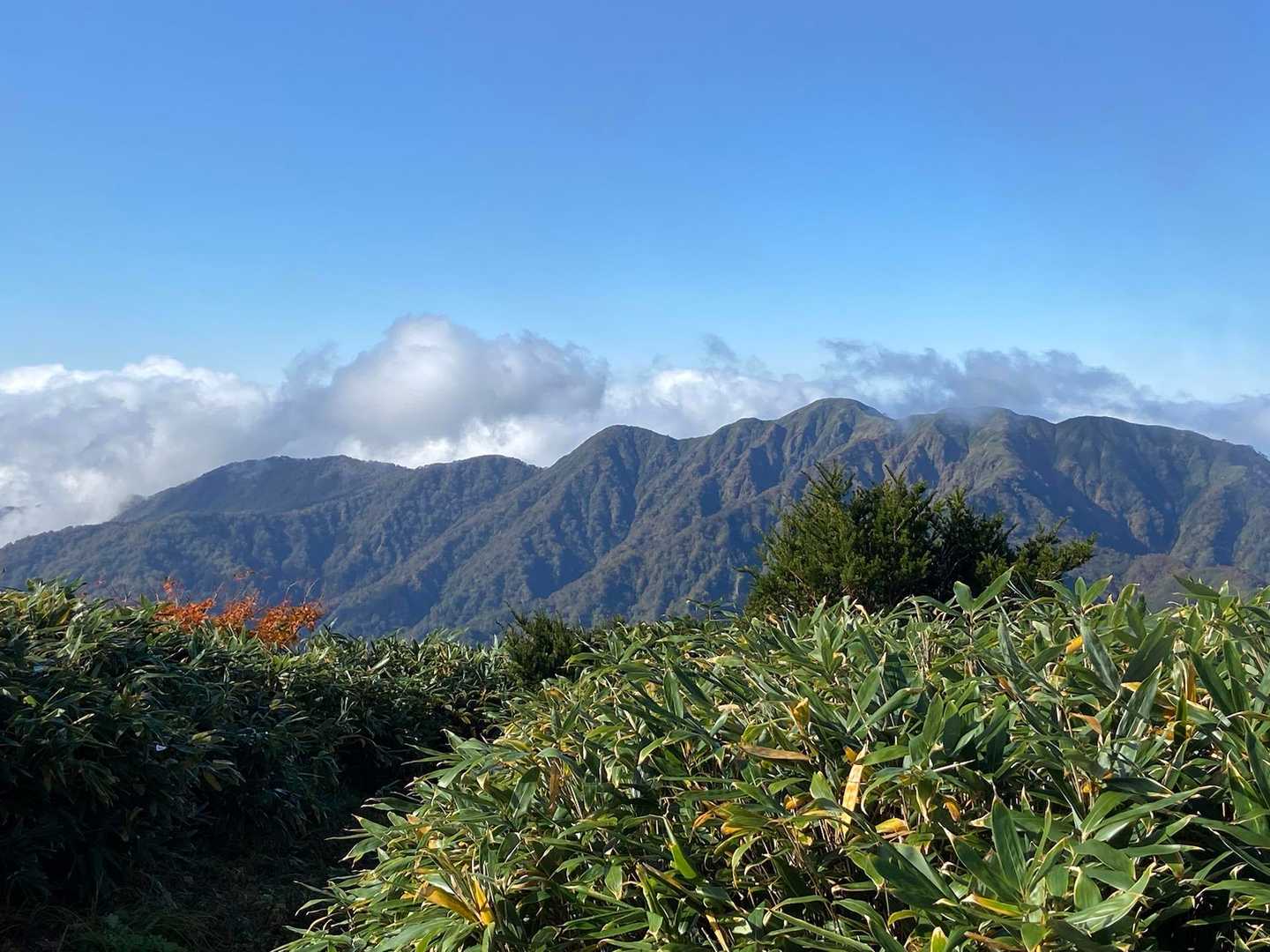 経ヶ岳方面(赤兎山山頂にて)