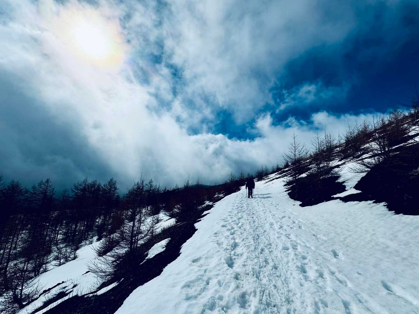 四辻までの綺麗な雪道。