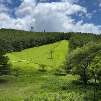 やっぱ

青空が良いね