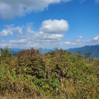 八方ヶ岳山頂はちょっとした広場みたいになってる。テントはれそうだ。