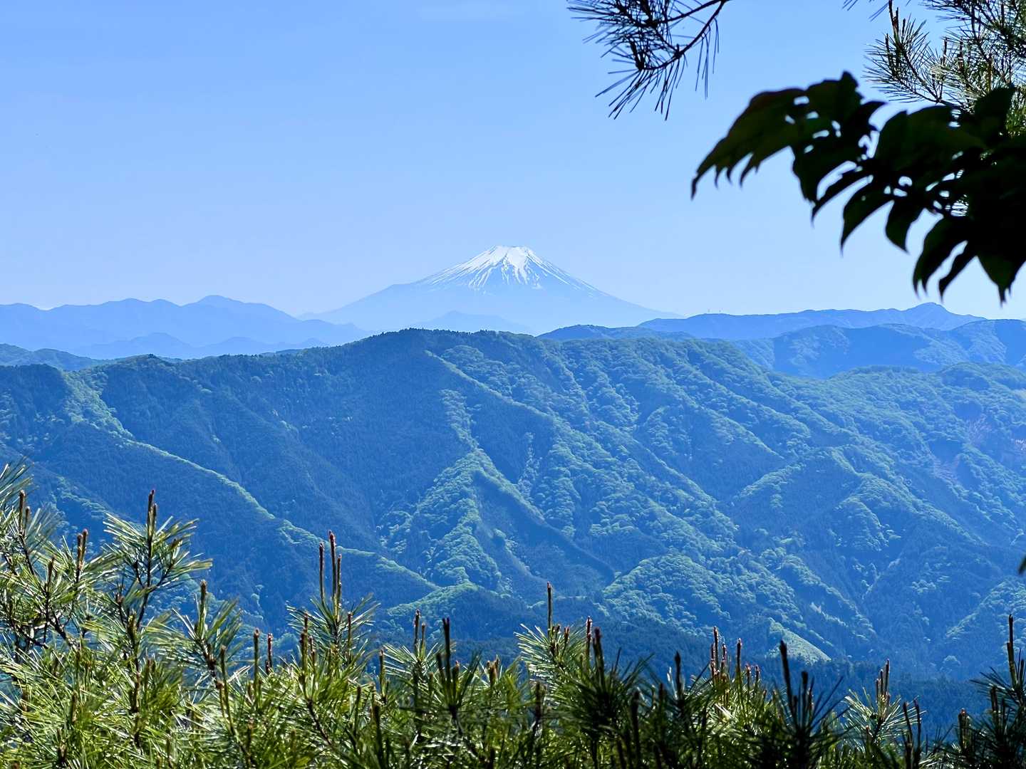千足バス停-小屋ノ沢山-鶴脚山-馬頭刈山-高明山-長岳 縦走コースの写真