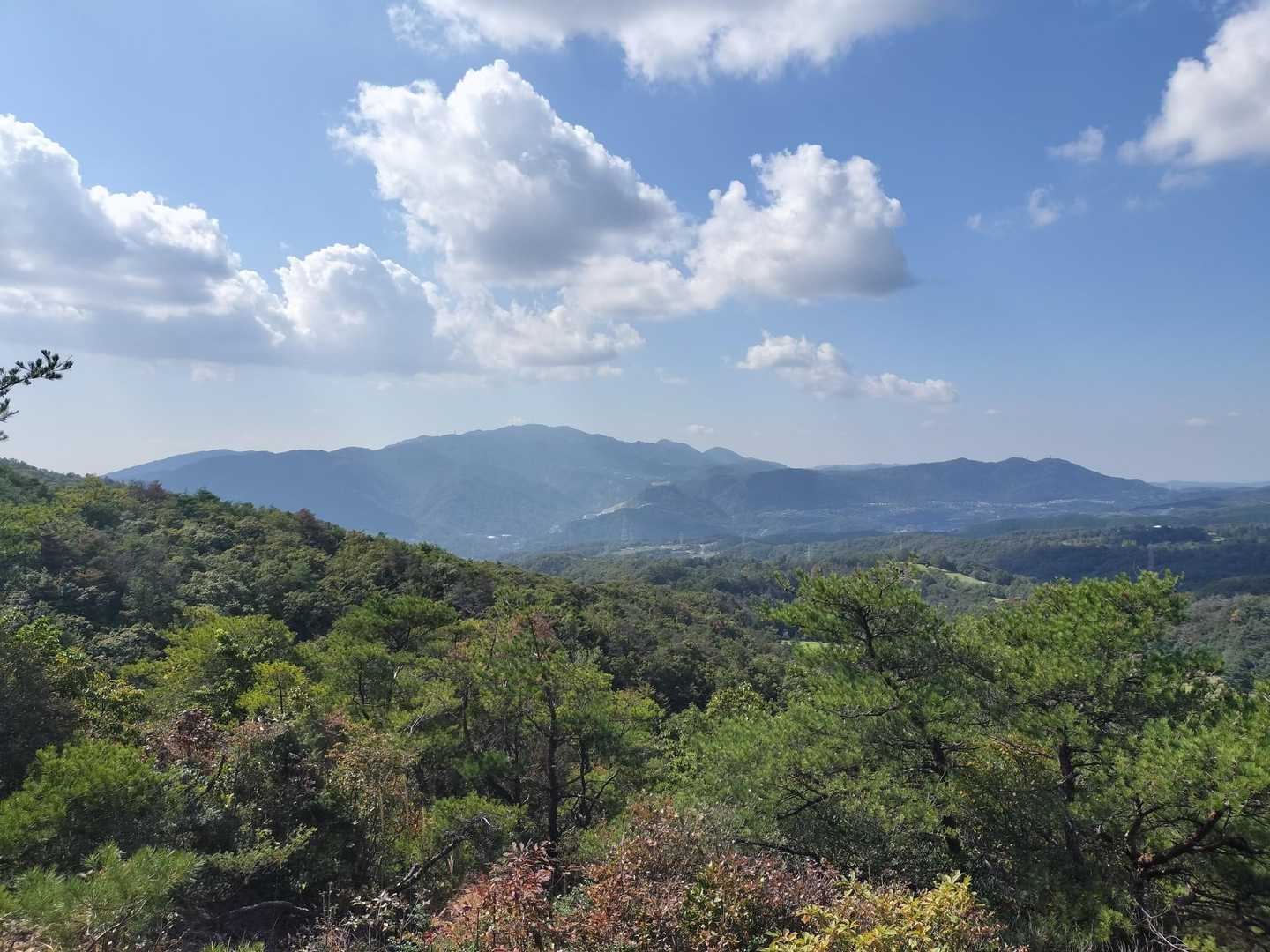 中山で１番眺望のいいとこ🤩六甲が見える😄