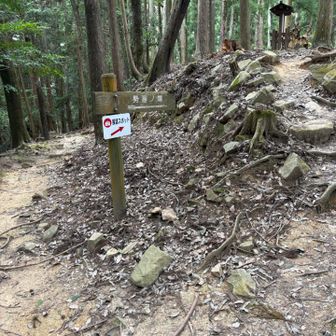 下りは別ルートを使う
ピークには眺望なかったが降りる途中、展望スポットの看板に誘われて寄り道