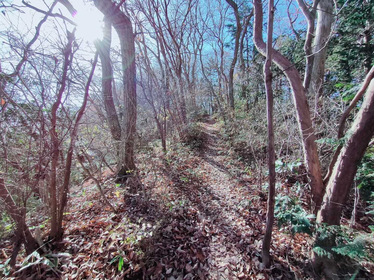 御嶽山 往復コースの写真