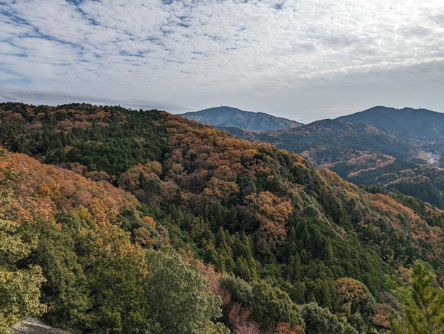 低いお山でもメッチャいい景色✨