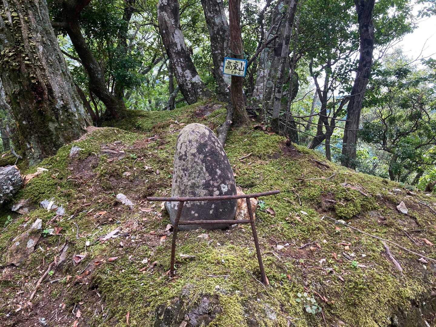 高束山 往復コースの写真