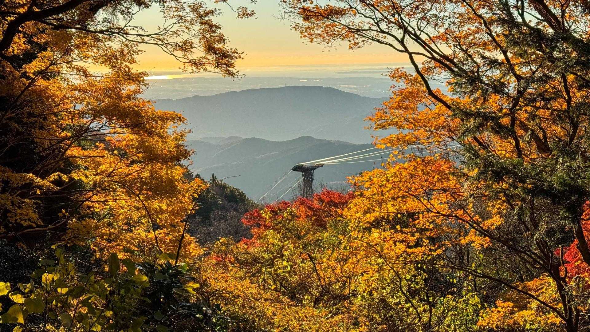 筑波山神社-つつじヶ丘-筑波山-御幸ヶ原 周回コースの写真