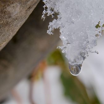 温度が上がり、日なたは雪が溶け始めました。