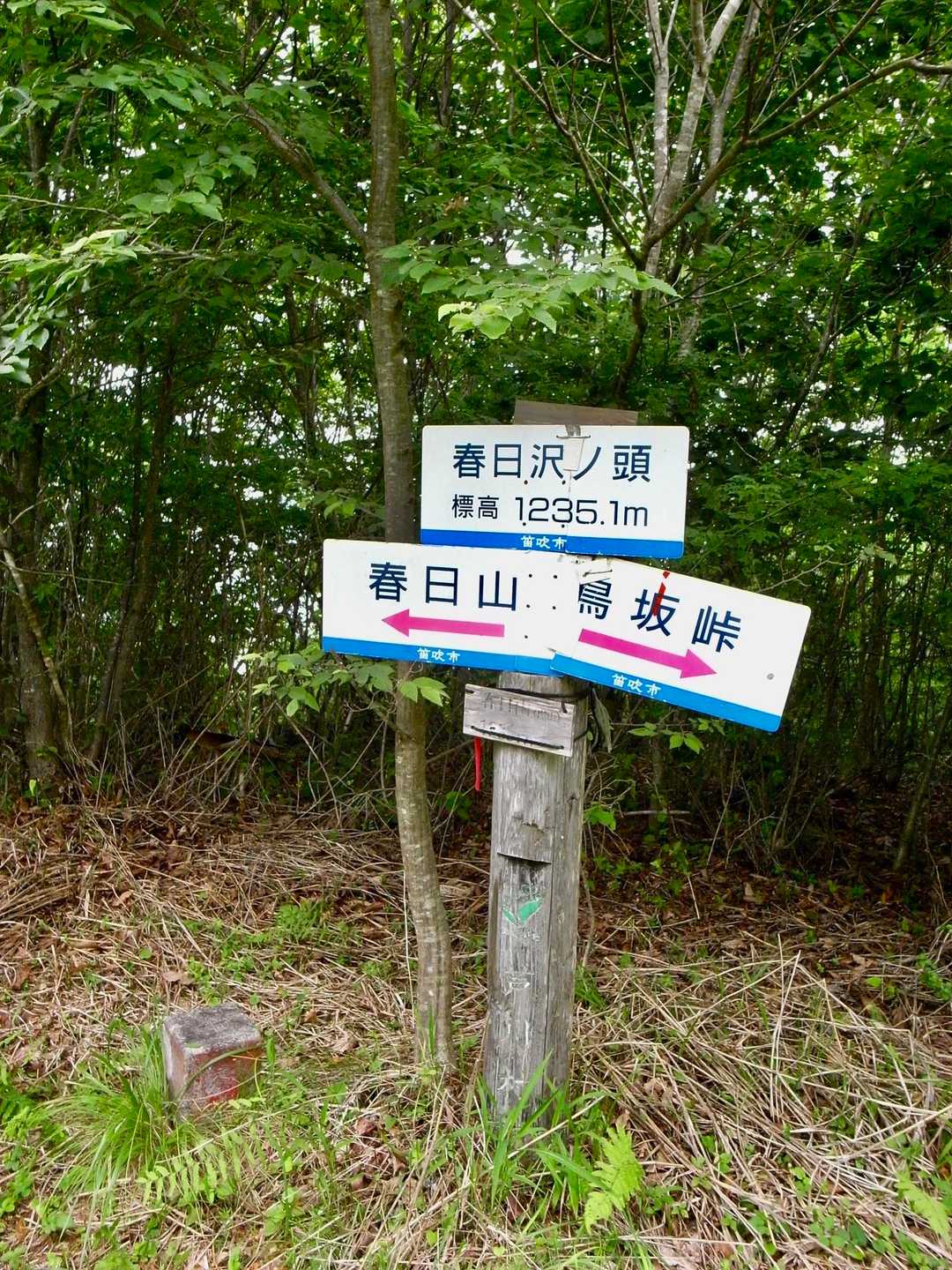鳥坂トンネルバス停-鳥坂峠-春日沢ノ頭-春日山 往復コースの写真
