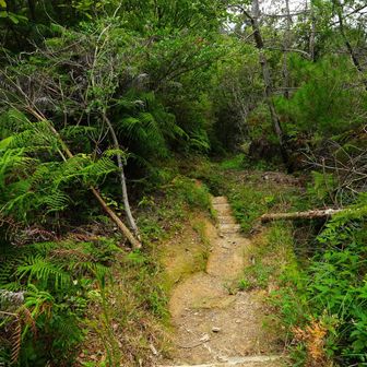 山道を降って行き、