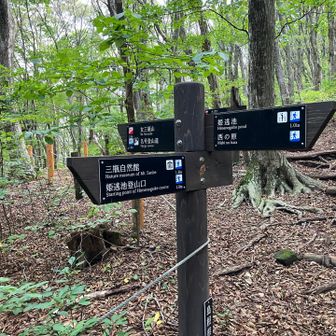女三瓶山の分岐です。ここは真っ直ぐ男三瓶を目指します。