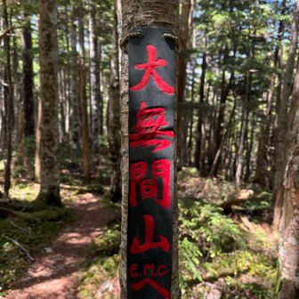 大無間山へ

赤文字こわい😱