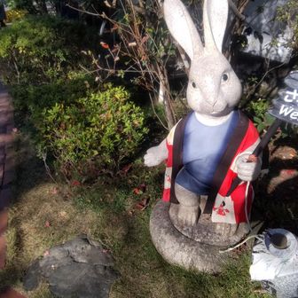 そんなんで泣きながら痛み止めを探していたら…
それっぽい店発見〜🐇