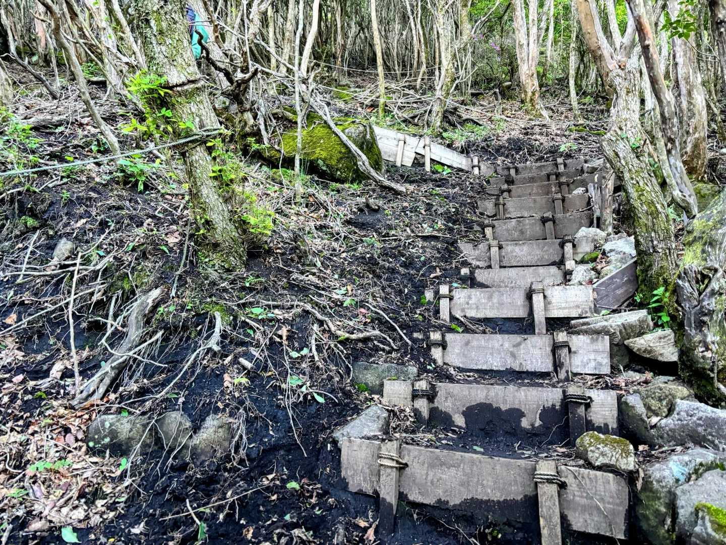 雨ヶ池との分岐を過ぎると黒土、急斜面↗︎
歩きにくくなります
