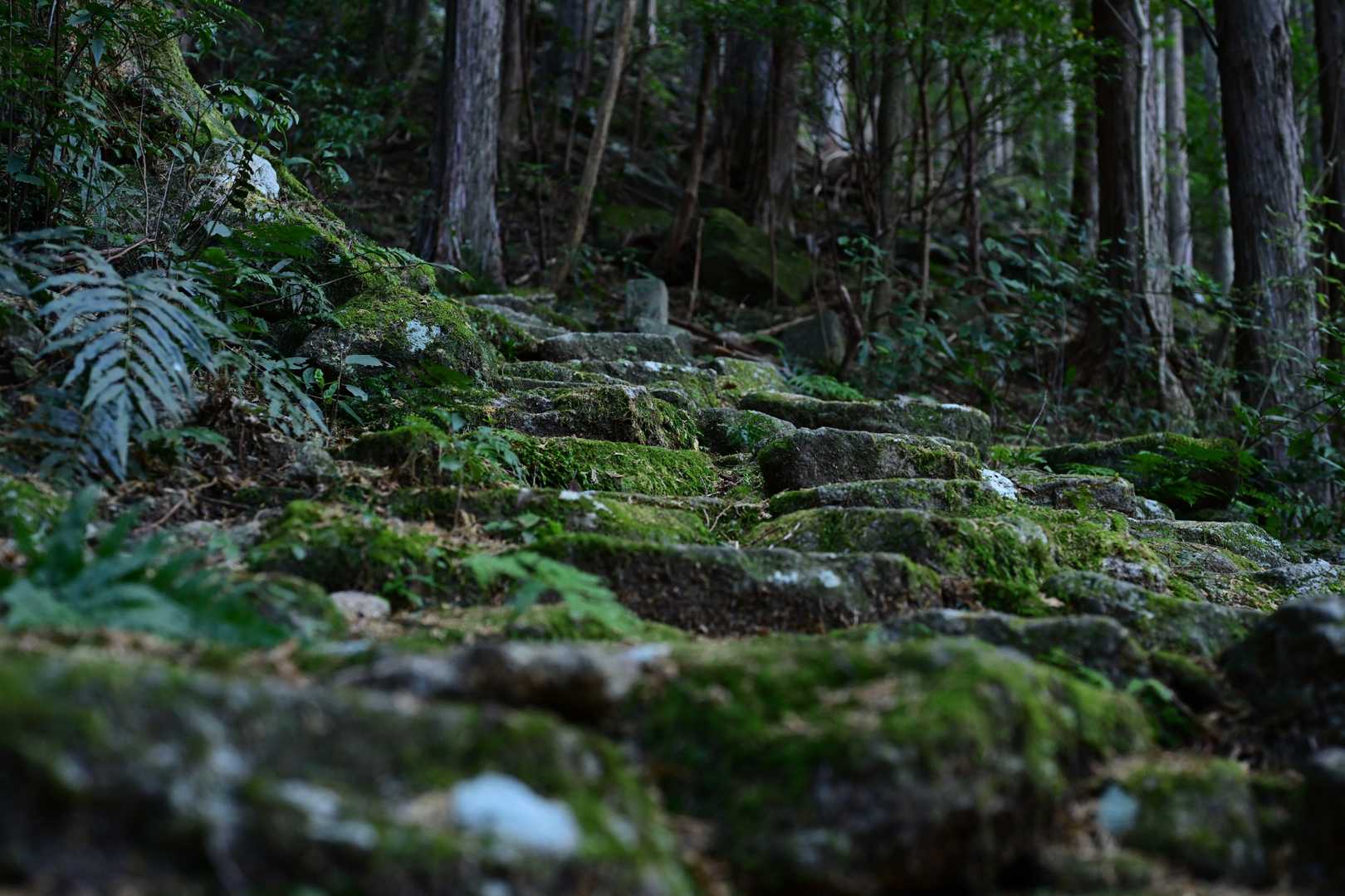 七曲り
