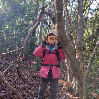 五位山64m登頂🙌
お堂後ろは灌木の藪。それを抜けると藪なく、上を目指し登る💪