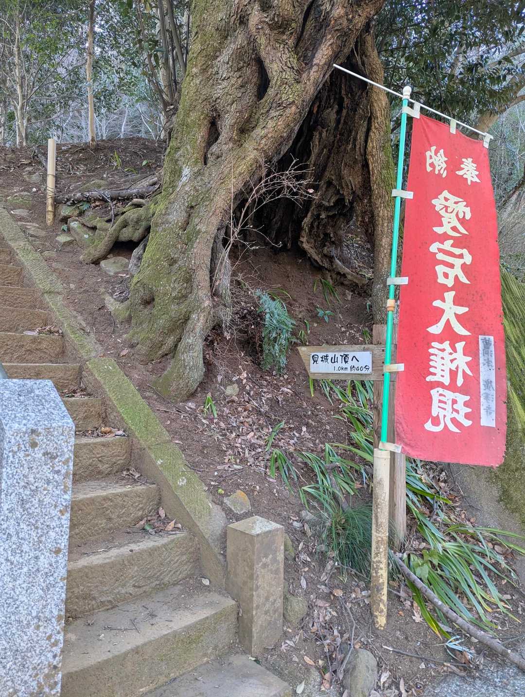 先ずは、愛宕神社⛩️に参拝🙏
m(_ _)m
